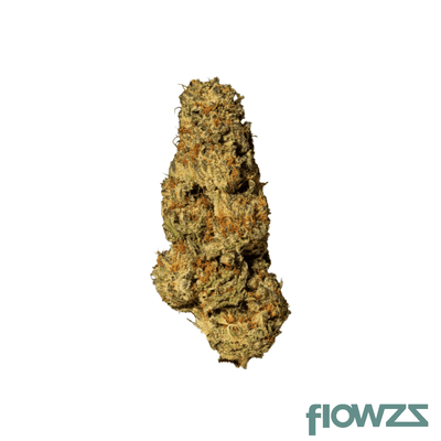nice-28-1-lpp-lavender-x-power-plant