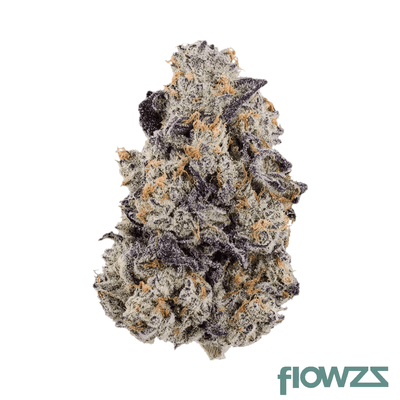 shrubs-25-1-sgk-sugar-kush