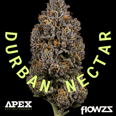Apex DNC CA 35/1 Durban Nectar