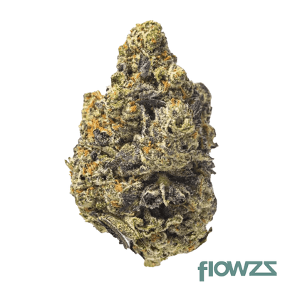 canopy-kmi-28