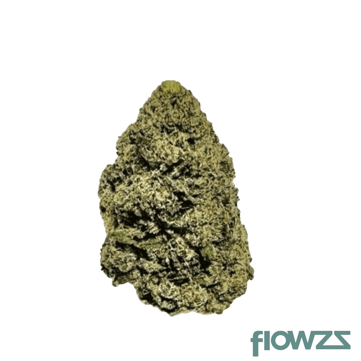 zoiks-18-1-moc-mochellow